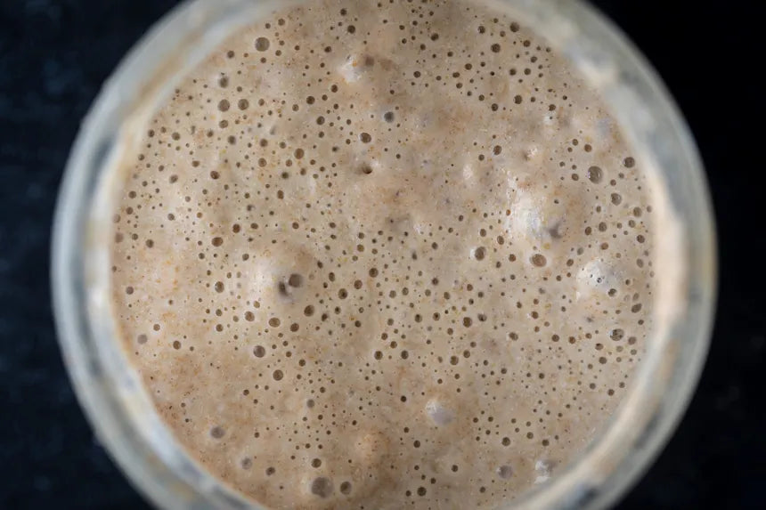 The Bread That Outlived Empires: My Love Letter to Sourdough